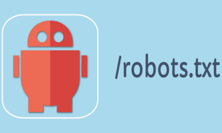 Robots txt vs metaetiqueta Robots